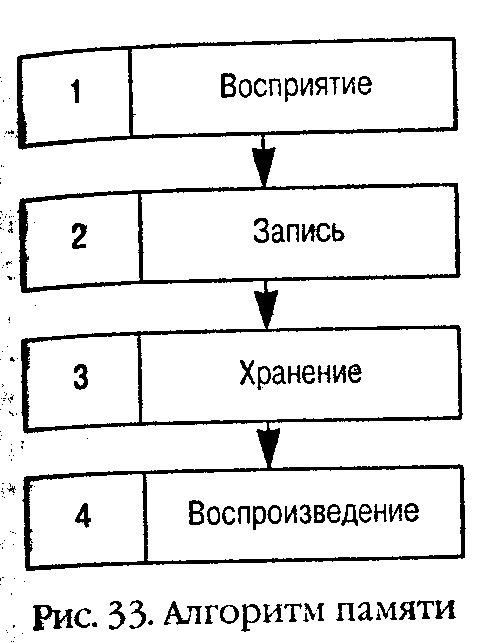 Алгоритмы памяти. Структура памяти. Структура памяти человека. Алгоритм памяти. Алгоритм кора.