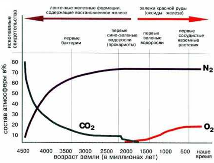 Изменение концентрации кислорода в атмосфере земли. Содержание кислорода в атмосфере. Содержание кислорода на земле. Содержание кислорода в атмосфере в разные эпохи.
