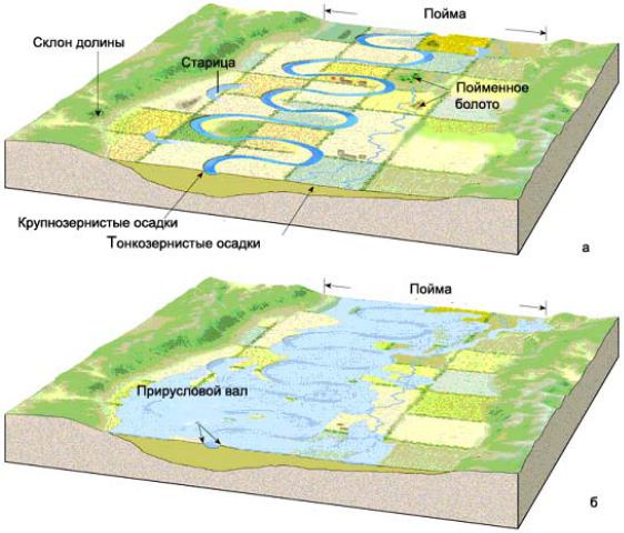 Почвы долины рек. Пойма реки схема. Строение Речной Поймы. Строение Поймы реки схема. Сегментные Поймы.