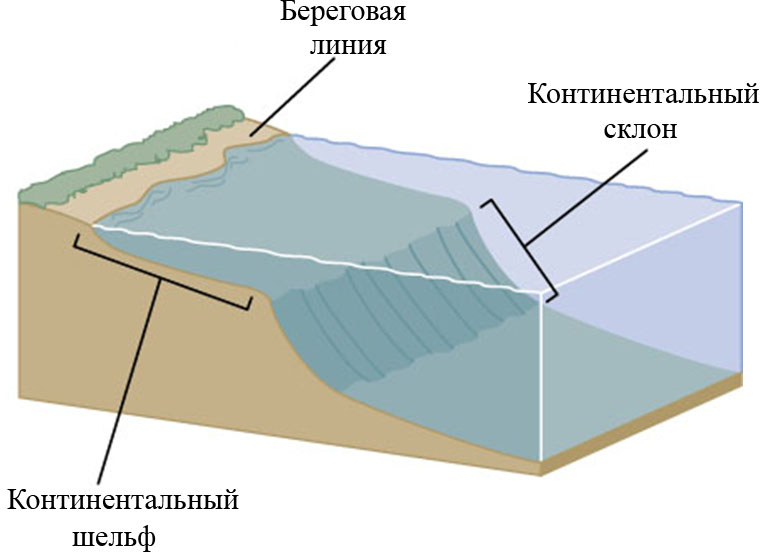 Континентальный шельф картинка