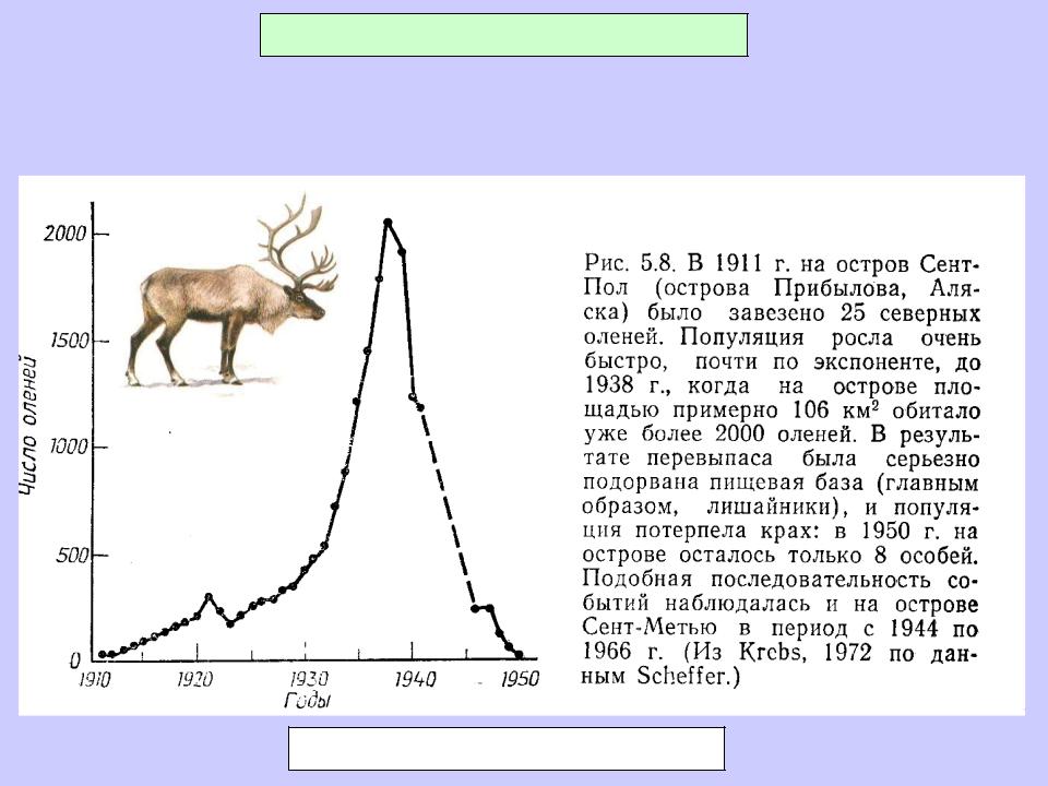 Неограниченный рост