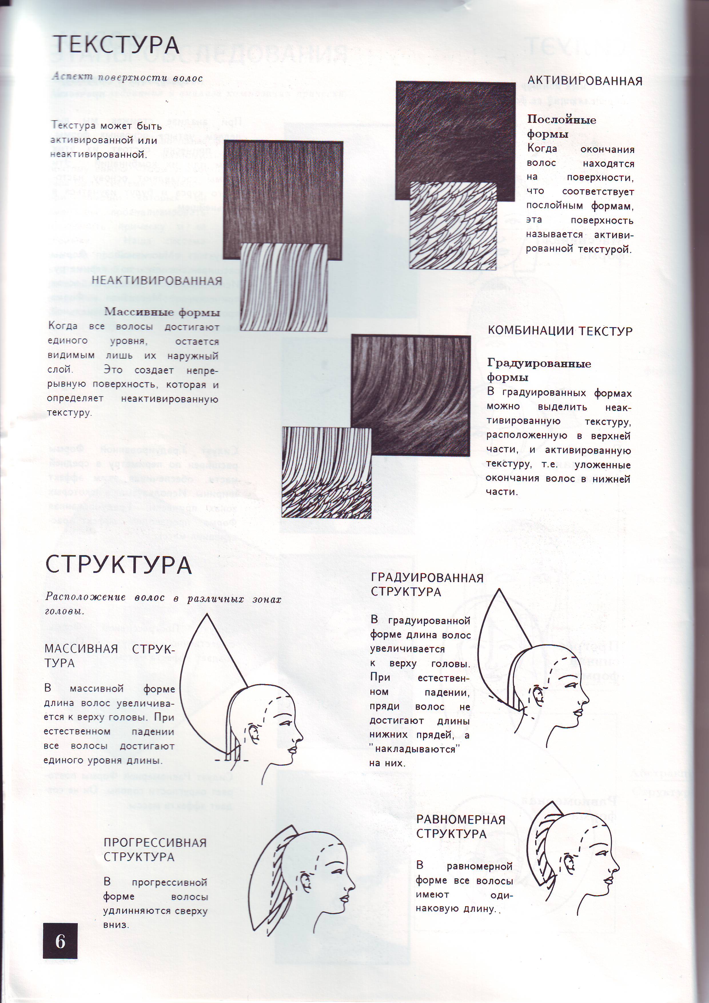 Краевая линия роста волос