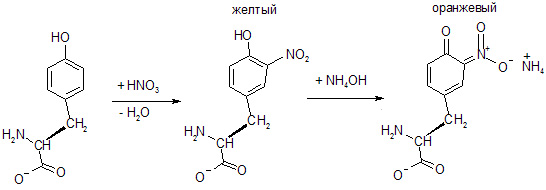 Белок концентрированная азотная кислота. Ксантопротеиновая реакция с аммиаком. Ксантопротеиновая реакция белков. Ксантопротеиновая реакция на белки. Ксантопротеиновая реакции с раствором аммиака.
