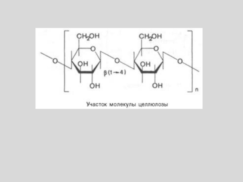 Гидролизу подвергается глюкоза рибоза целлюлоза. Целлюлоза строение гидролиз. Схема гидролиза целлюлозы. Гидролиз целлюлозы реакция. Кислотный гидролиз целлюлозы.