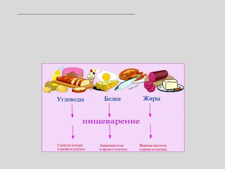 Как нарисовать углеводы