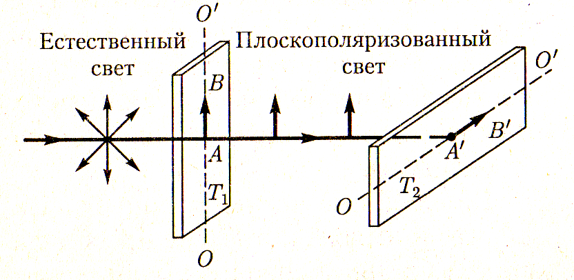 Плоскополяризованный свет рисунок