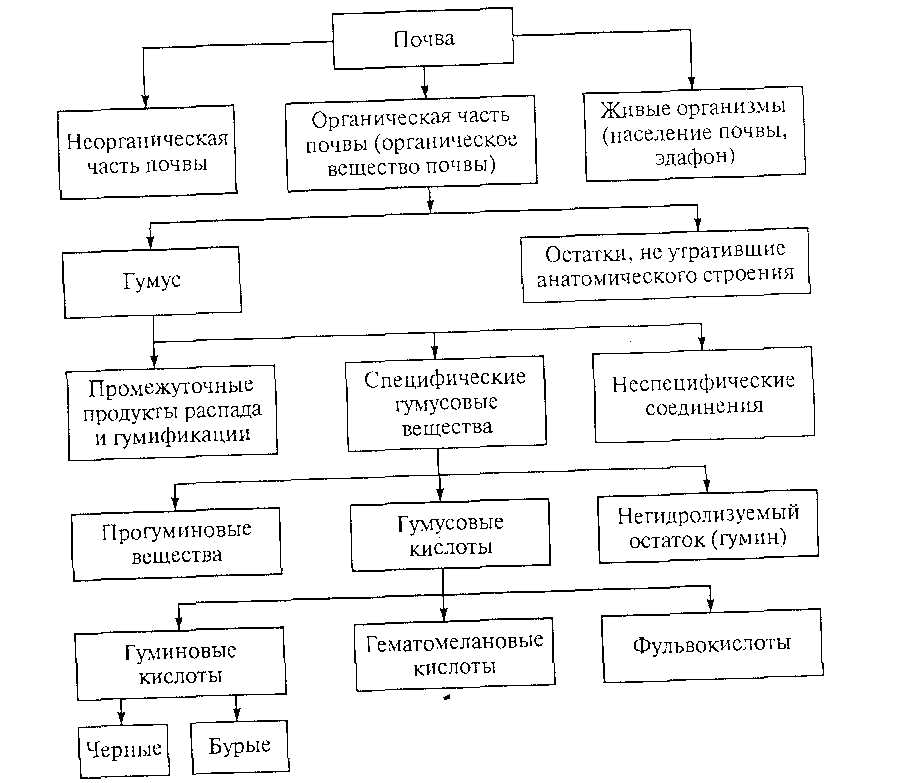 Части почвы. Формирование органической части почвы. Схема формирования органической части. Схема промываемости почв. Схема формирования органической части почвы.