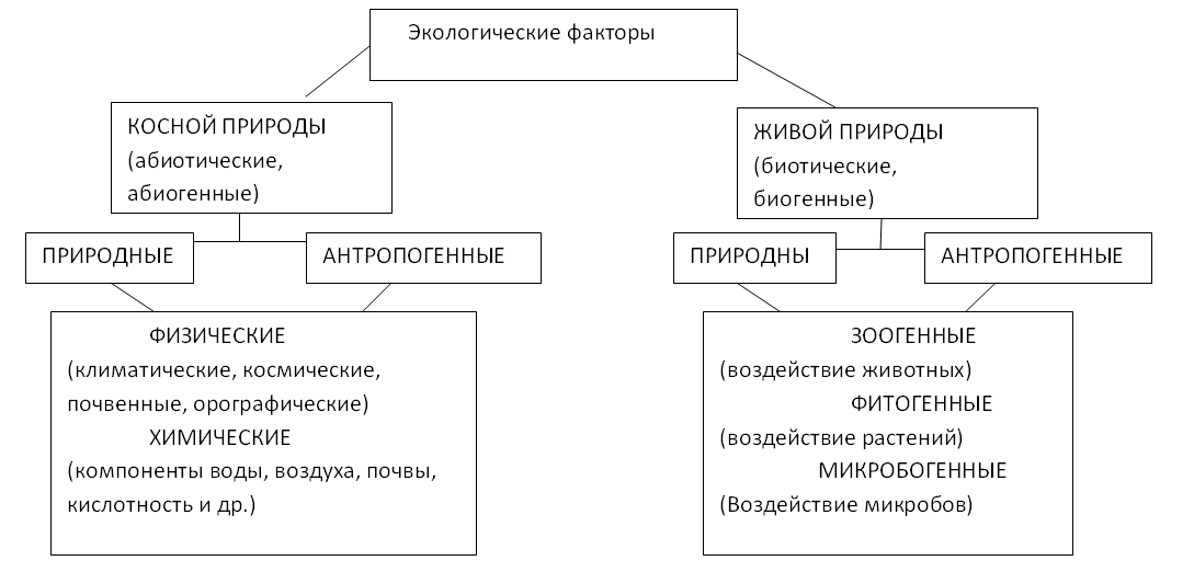 Составьте схему факторы воздействия на окружающую среду география 8
