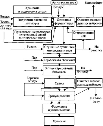 Технологическая схема получения интерферона