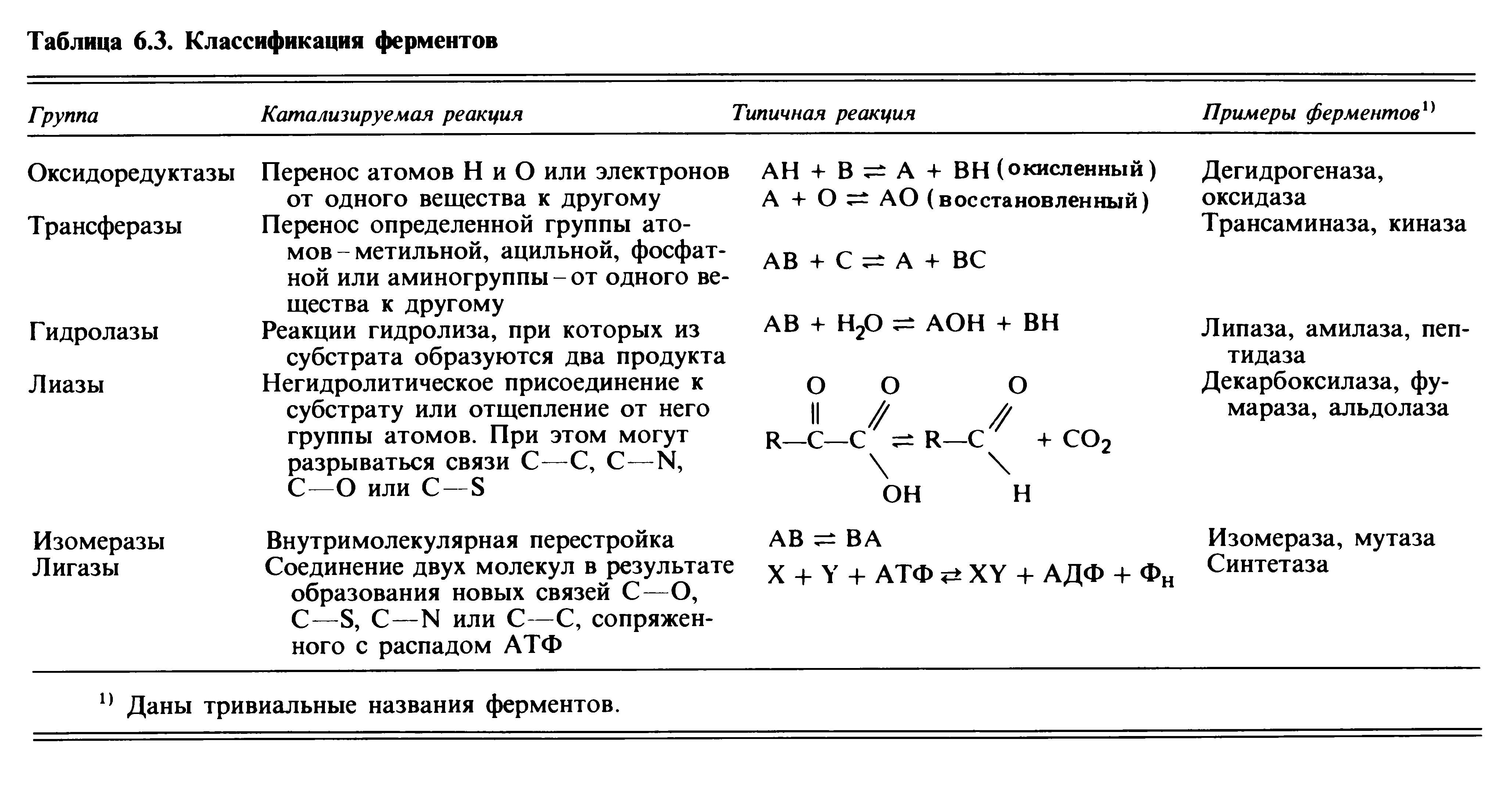 Ферменты примеры реакций. 3. Классификация ферментов. Классы фермента Тип реакции. Классификация ферментов с примерами реакций. Классификация ферментов схема.