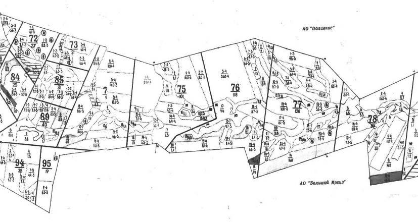 Карта выделов лесных участков