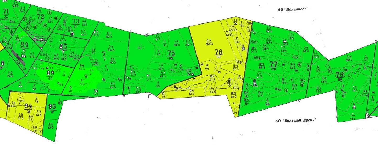 Карта выделов лесных участков