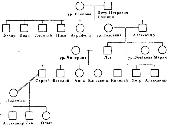Родословная биология схема