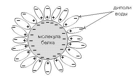 Денатурация белка