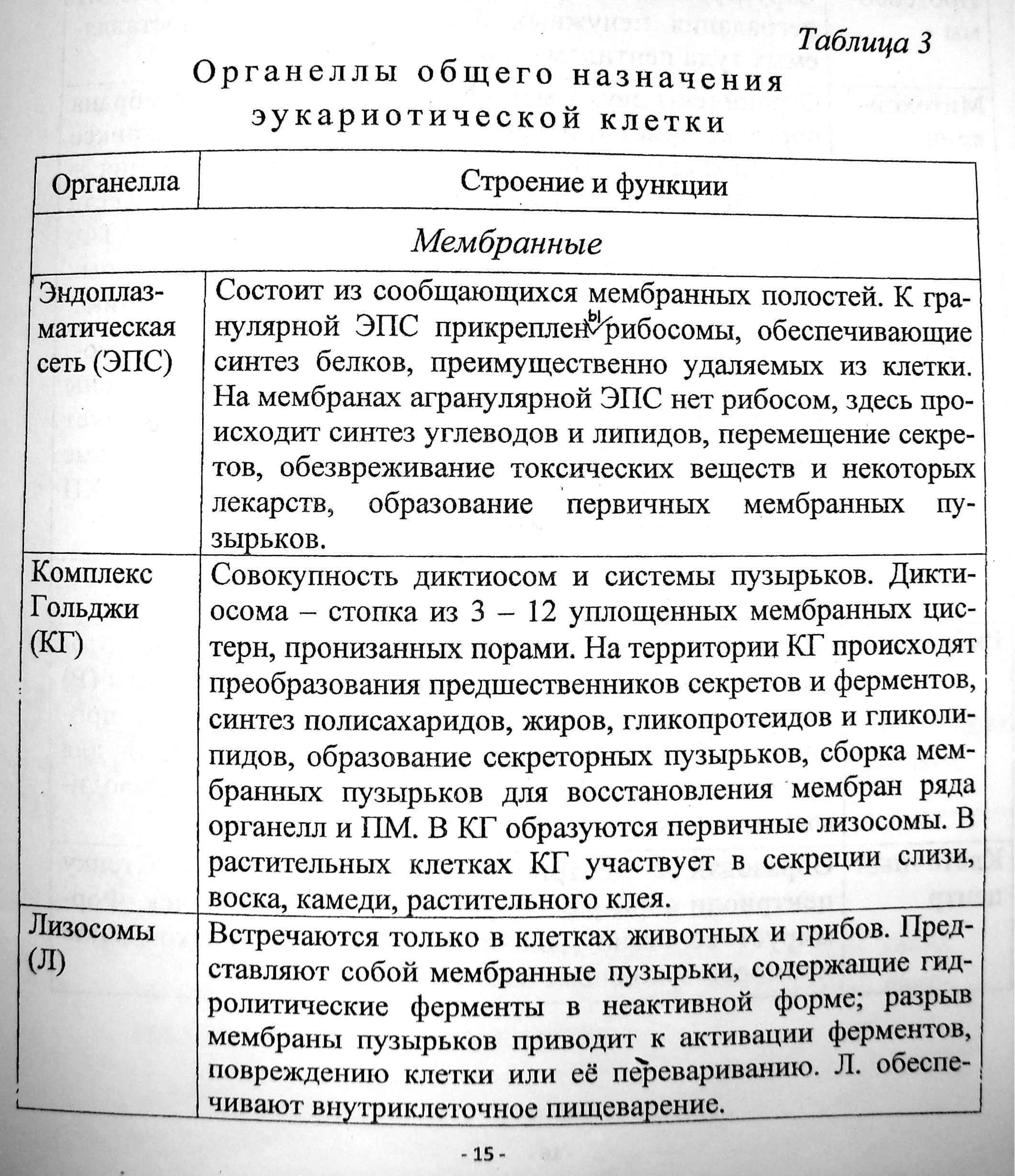 Характеристика эукариотической клетки таблица Структурно-функциональная организация прокариотической и эукариотической клеток