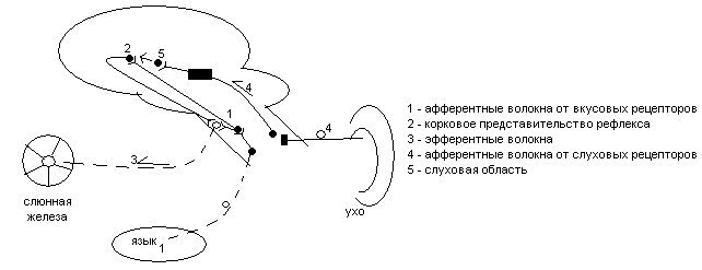 Билет №2.