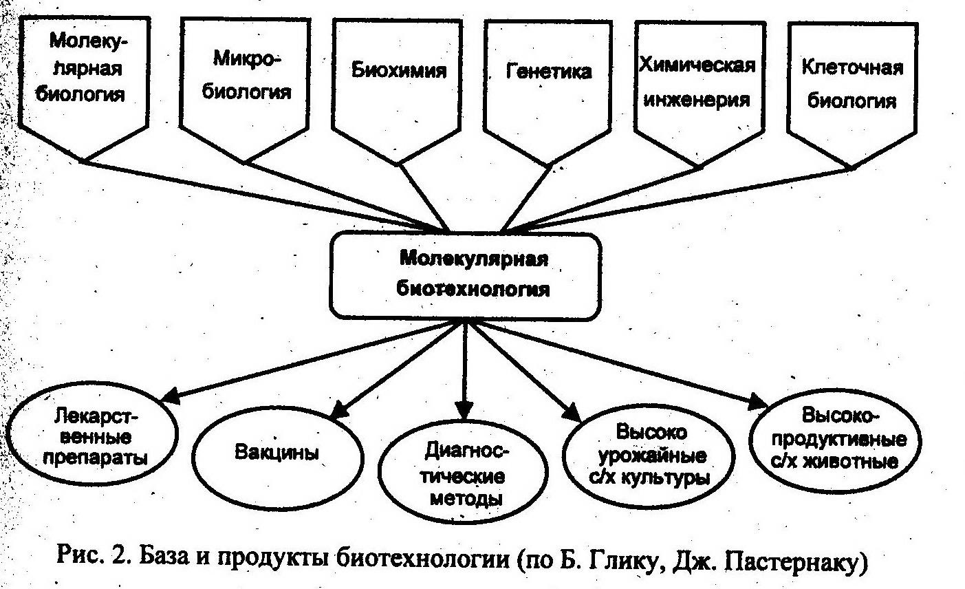 Глава 1. Общие представления о биотехнологии