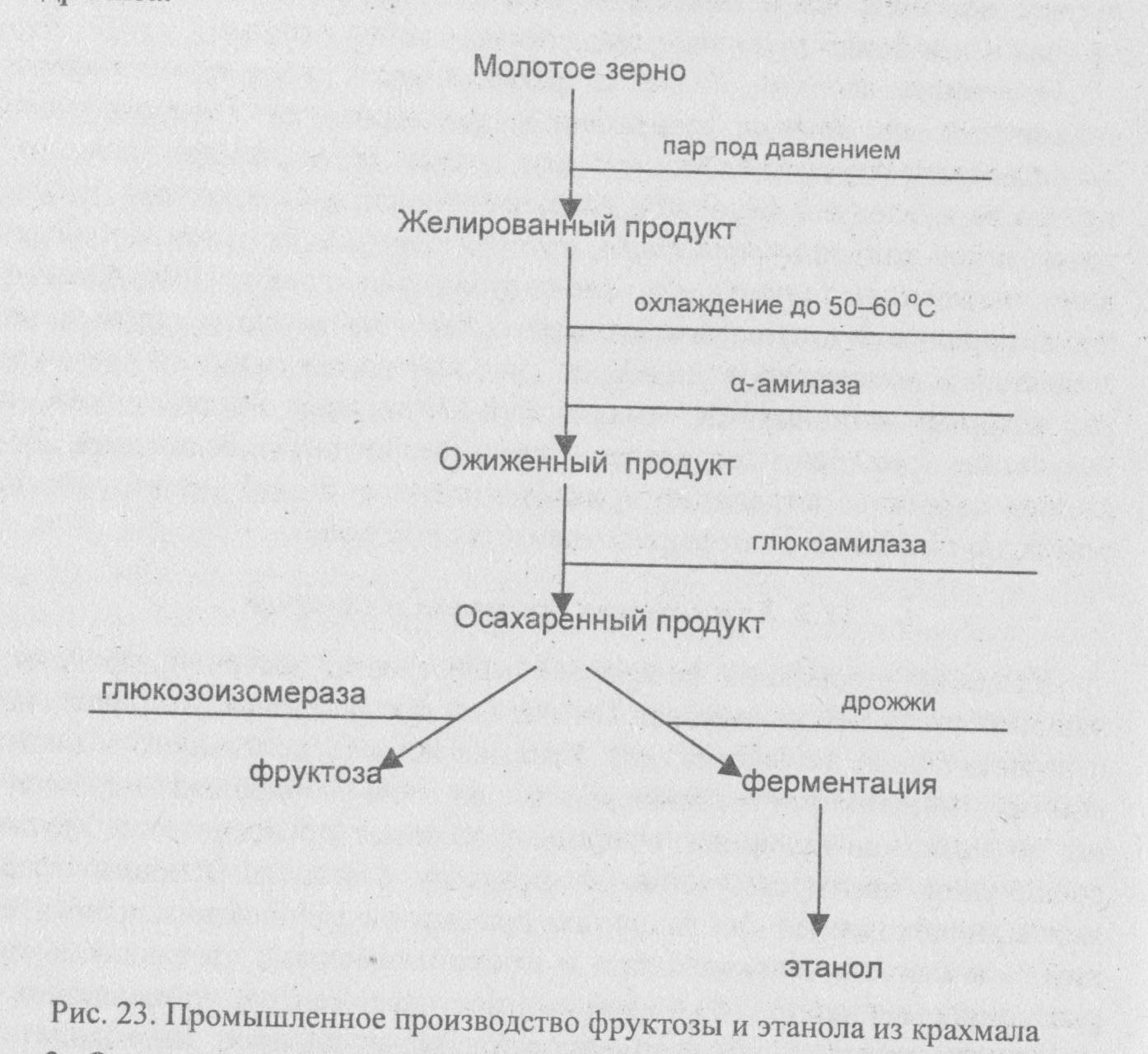 11.2. Утилизация крахмала и Сахаров