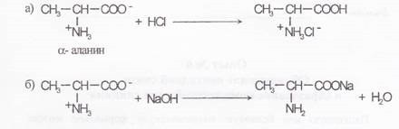 Аланин проявляет амфотерные свойства. Амфотерность аланина. Амфотерные свойства аланина реакции. Реакция доказательства амфотерности аминокислот. Реакции доказывающие Амфотерность аланина.