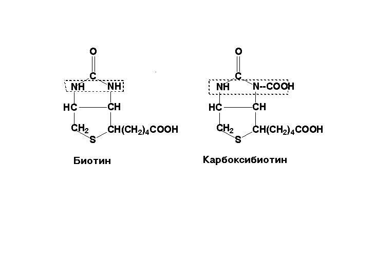 2.4 кислота 2.4 кислота