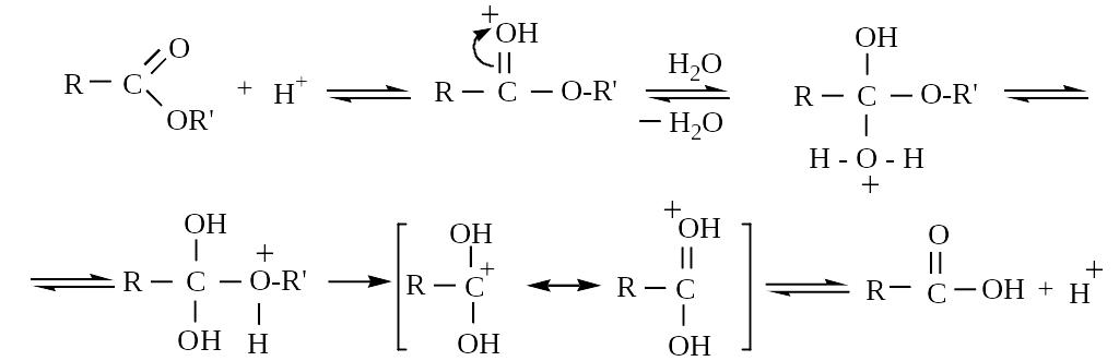 При гидролизе этилацетата образуются
