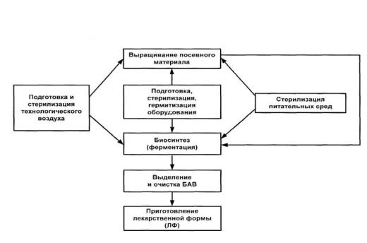 Что называют биотехнологией приведите примеры биотехнологических katlinskyj_biotehnology - Стр 3