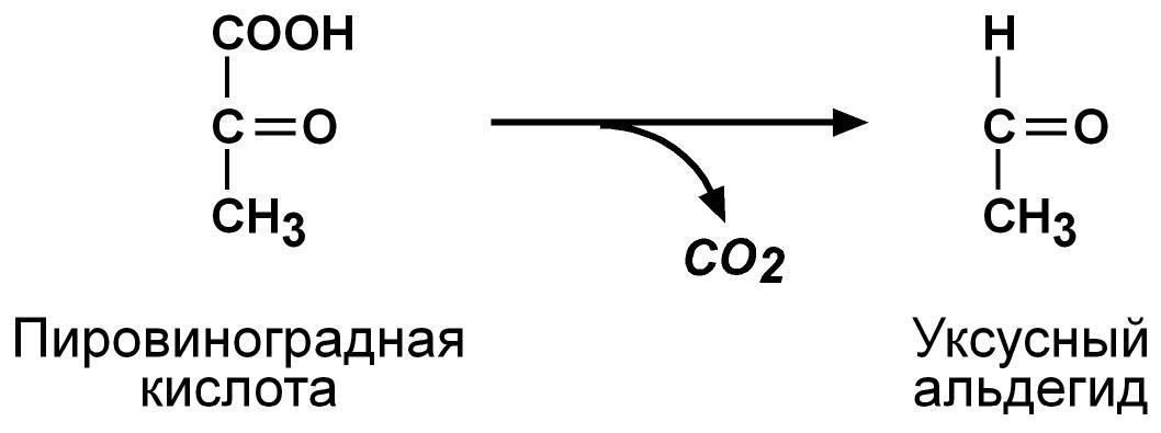 Пировиноградная кислота биополимер. Пировиноградная кислота уксусный альдегид + со2. Пировиноградная кислота + co2. Пировиноградная кислота ацетальдегид. Пируват в ацетальдегид.