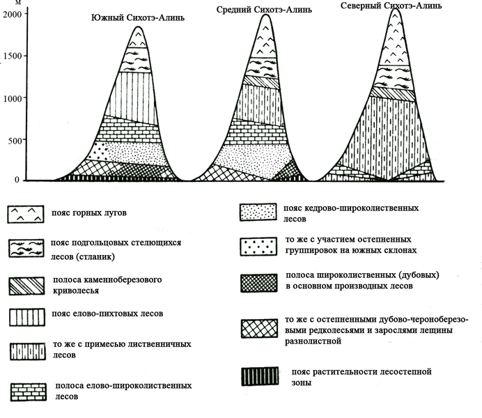 Схема высотной поясности алтая