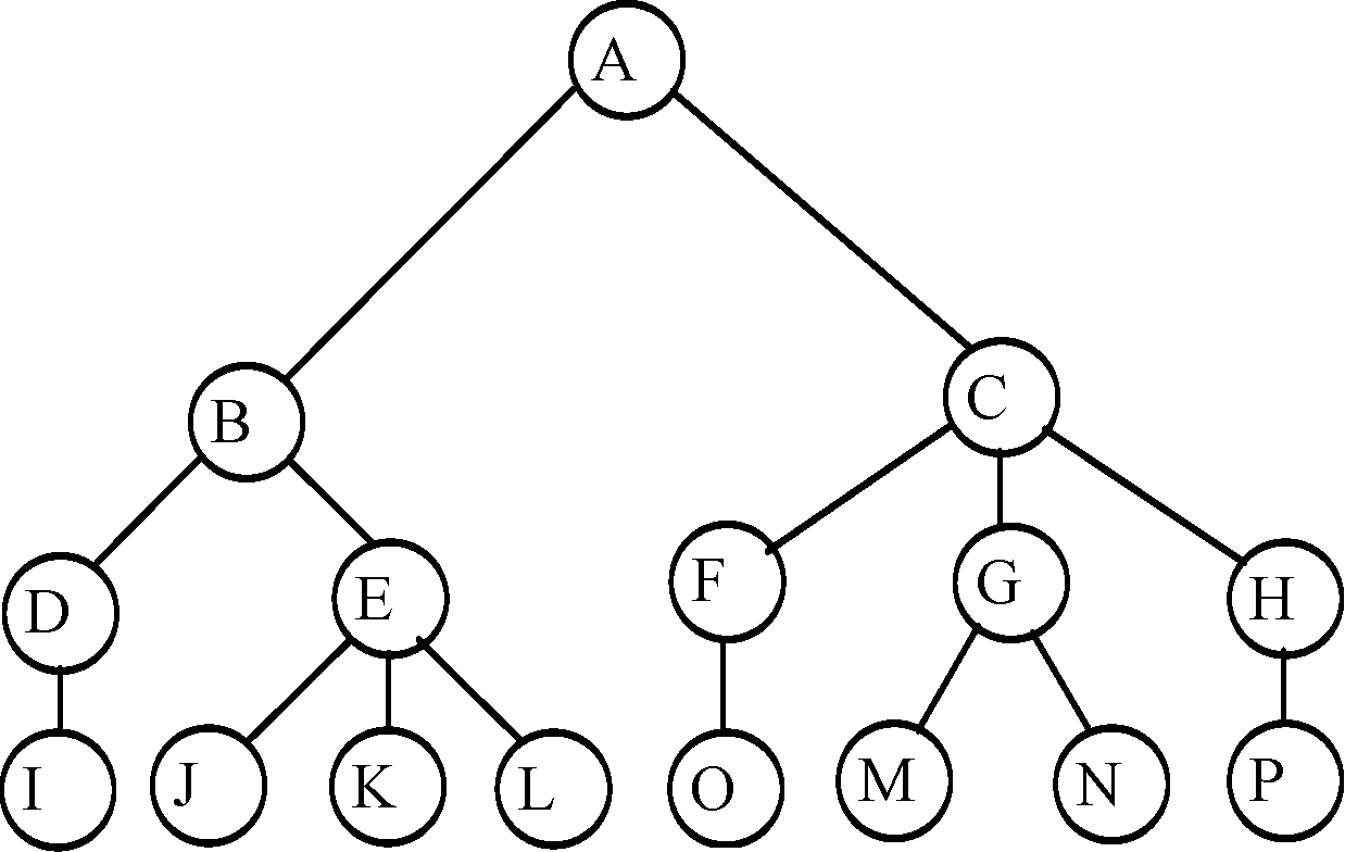 Элемент системы дерево. Графы деревья. Схемы графы.