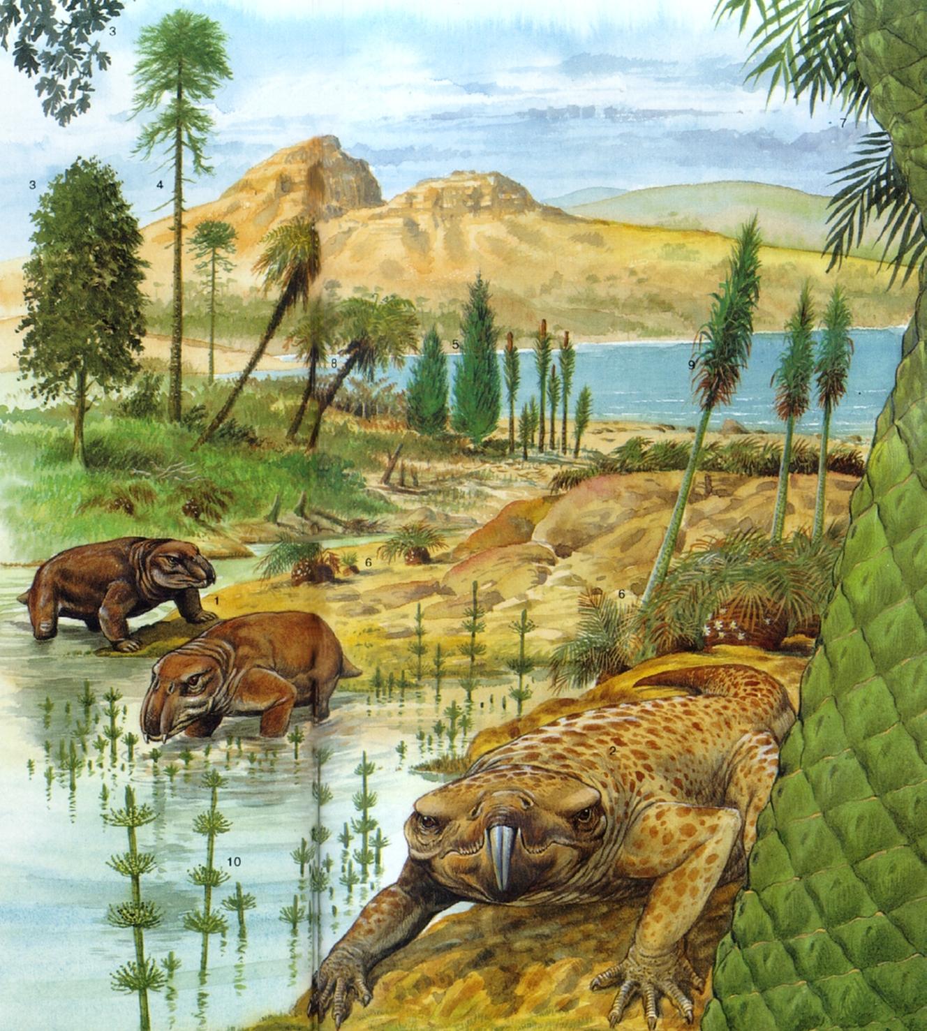 100 млн лет назад какая эра. Триасовый период мезозойской эры. Триасовый период мезозойской эры животные. Мезозойская Эра Триасовый период животный мир. Мезозойская Эра Триасовый животные.