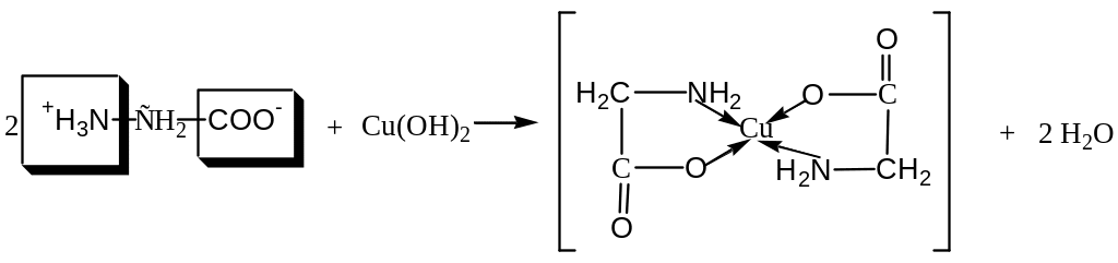 Глицин и гидроксид меди 2 реакция. Денатурация белка солями тяжелых металлов. Реакция белка с солями тяжелых металлов. Осаждение белка солями тяжелых металлов реакция. Осаждение белков солями тяжелых металлов реакция.