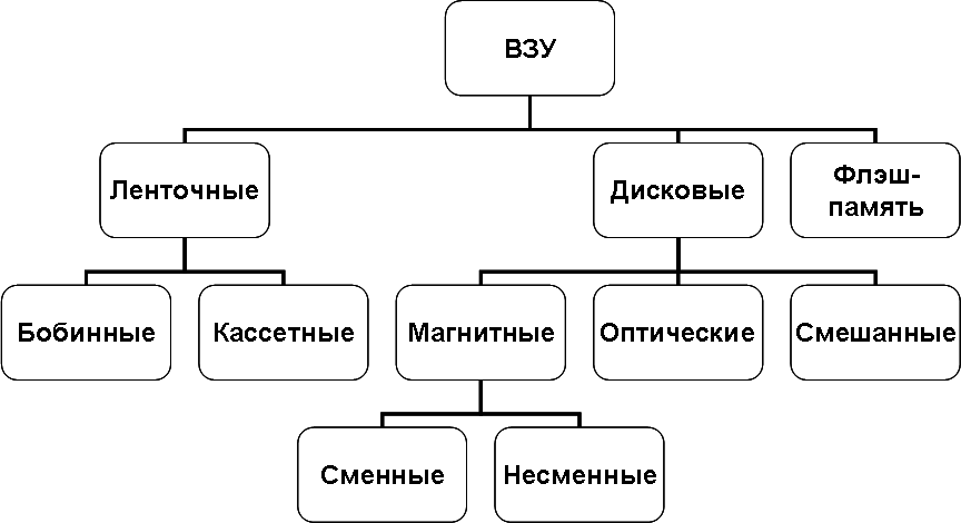 Последовательность эволюционных процессов беспозвоночных животных