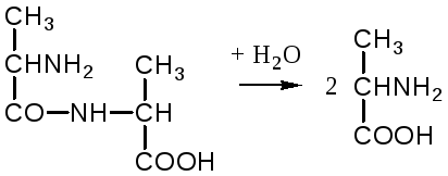 Гидролиз глицилаланина. Аланин аланилаланин. Аланин аланин гидролиз. Аланилааланин гидролиз. Аланилаланин формула.