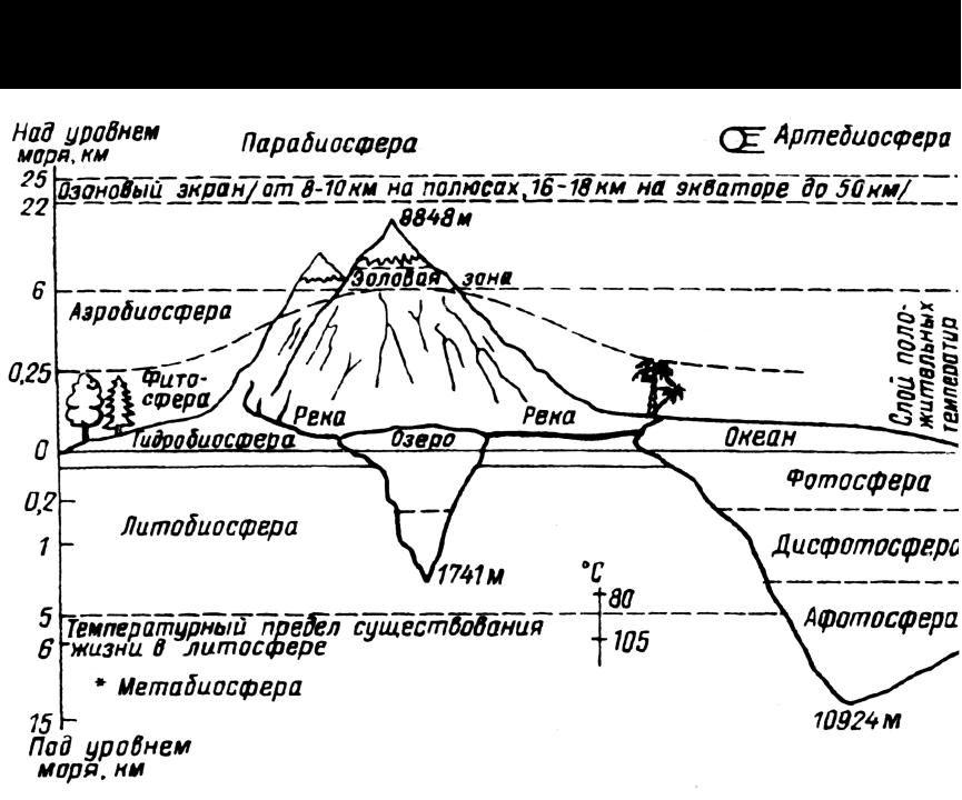 Рассмотрите рисунок изображающий строение биосферы