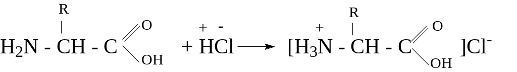 Аланин кислота реакция. Взаимодействие аминокислот с соляной кислотой. Взаимодействие аминокислот с кислотами. Аминокислоты реагируют с соляной кислотой. Взаимодействие аминокислот с кислотами реакция.