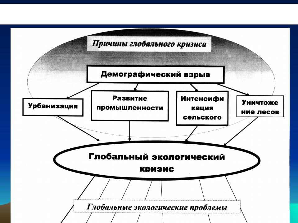 Мировой экологический кризис. Экологический кризис глобальная проблема современности. Курсовая работа по экологии. Глобальные проблемы экологические кризисы. Сложный план экологические проблемы современности.