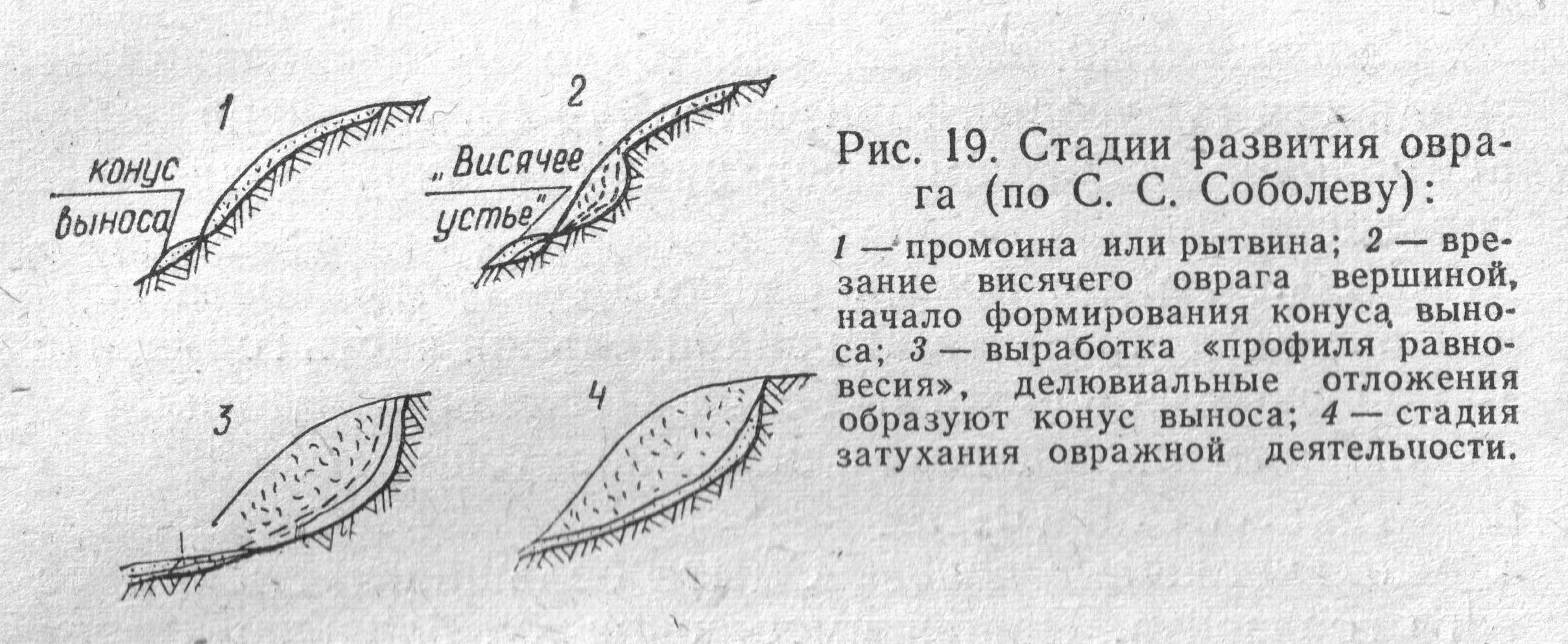 Причина массового развития оврагов в черноземье