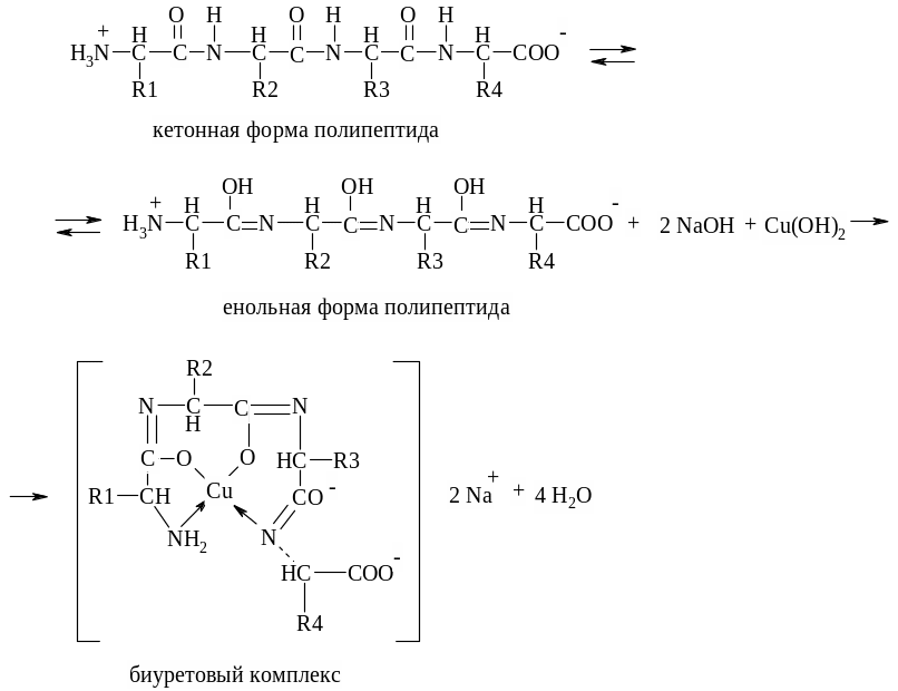 Полипептид с азотной кислотой дает окрашивание. Биуретовая реакция на пептидную связь реакция. Реакция Пиотровского биуретовая реакция. Биуретовая реакция белков формула. Биуретовая реакция на пептиды.