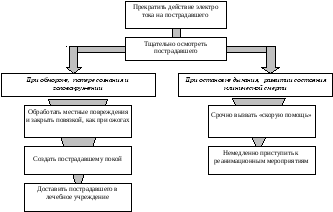 Оказание первой доврачебной помощи при ожогах шоке и обмороке thumbnail