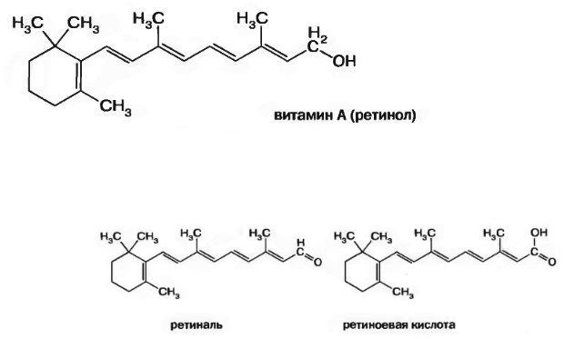 Ретиналь Ретиналь