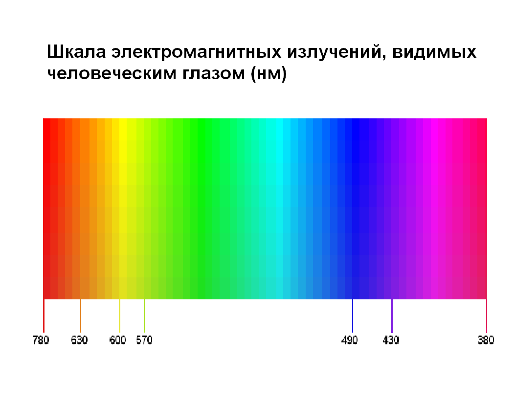 Спектр видимый глазом. Видимый глазом диапазон электромагнитного излучения. Видимый спектр излучения. Шкала видимого излучения. Длины волн видимого света.