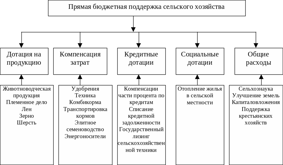 Программа государственной поддержки сельского хозяйства. Сельское хозяйство схема. Структура сельского хозяйства. Государственная поддержка сельского хозяйства.