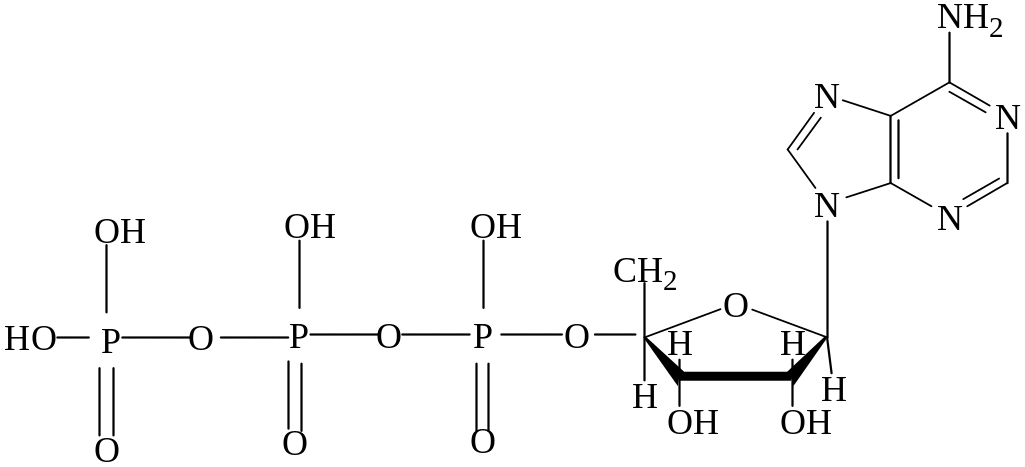 Атф структурная. АДФ формула структурная. АДФ формула биохимия. Аденозин 5 дифосфат формула. Что такое аденозиндифосфат АДФ.