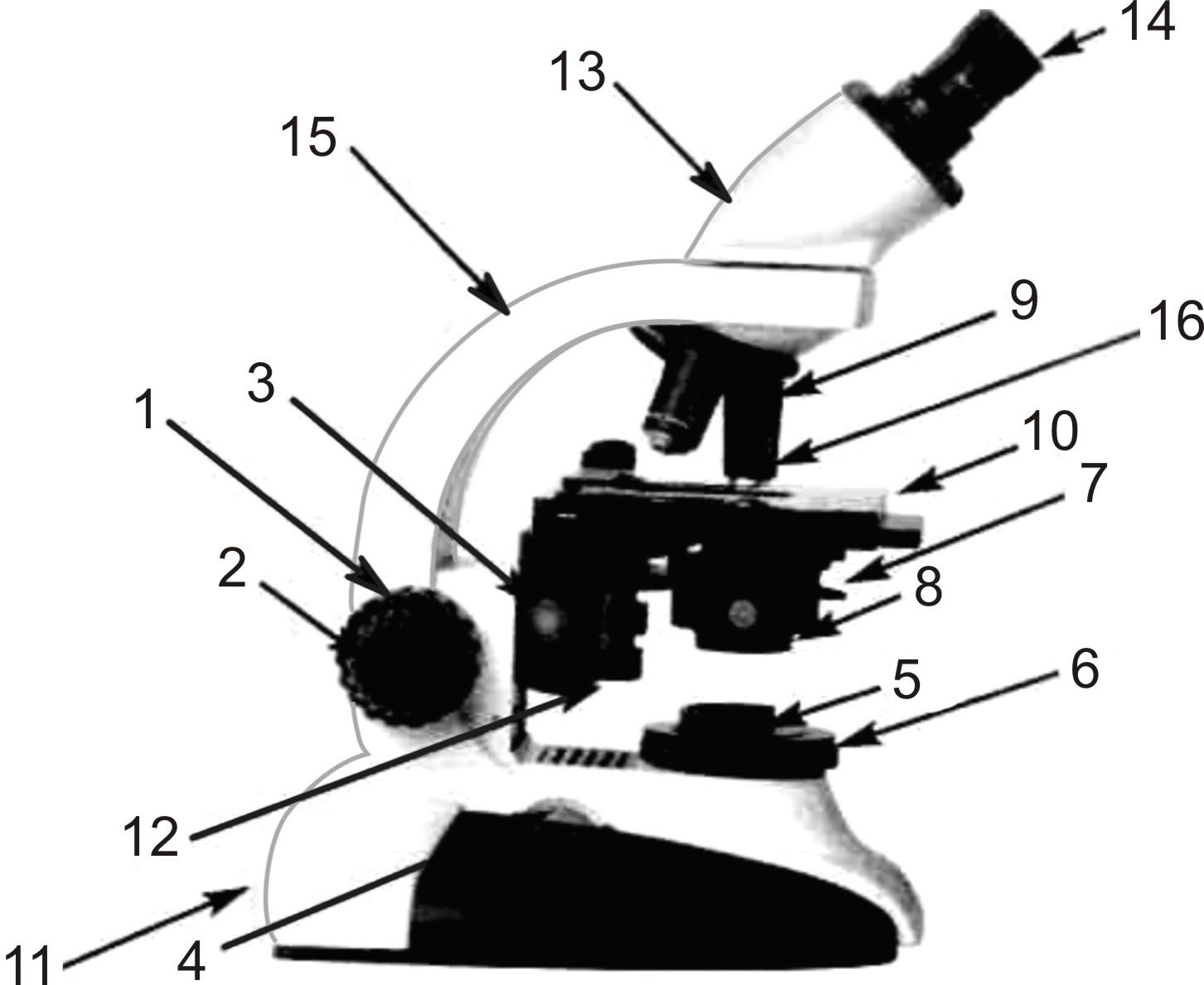 Цифровой микроскоп объектив 200 какое увеличение