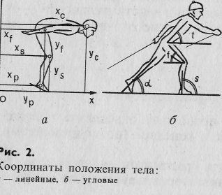тело отсчета в биомеханике что такое. Смотреть фото тело отсчета в биомеханике что такое. Смотреть картинку тело отсчета в биомеханике что такое. Картинка про тело отсчета в биомеханике что такое. Фото тело отсчета в биомеханике что такое