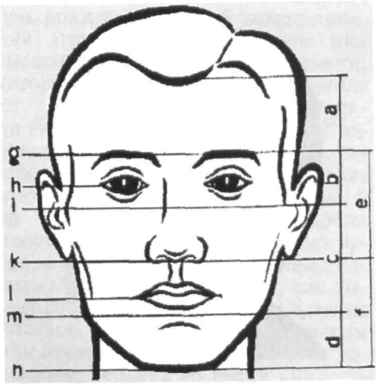 Длина лба. Антропометрическое исследование лица. Антропометрическое исследования лица и головы. Антропометрическое строение лица. Пропорции лица ортодонтия.