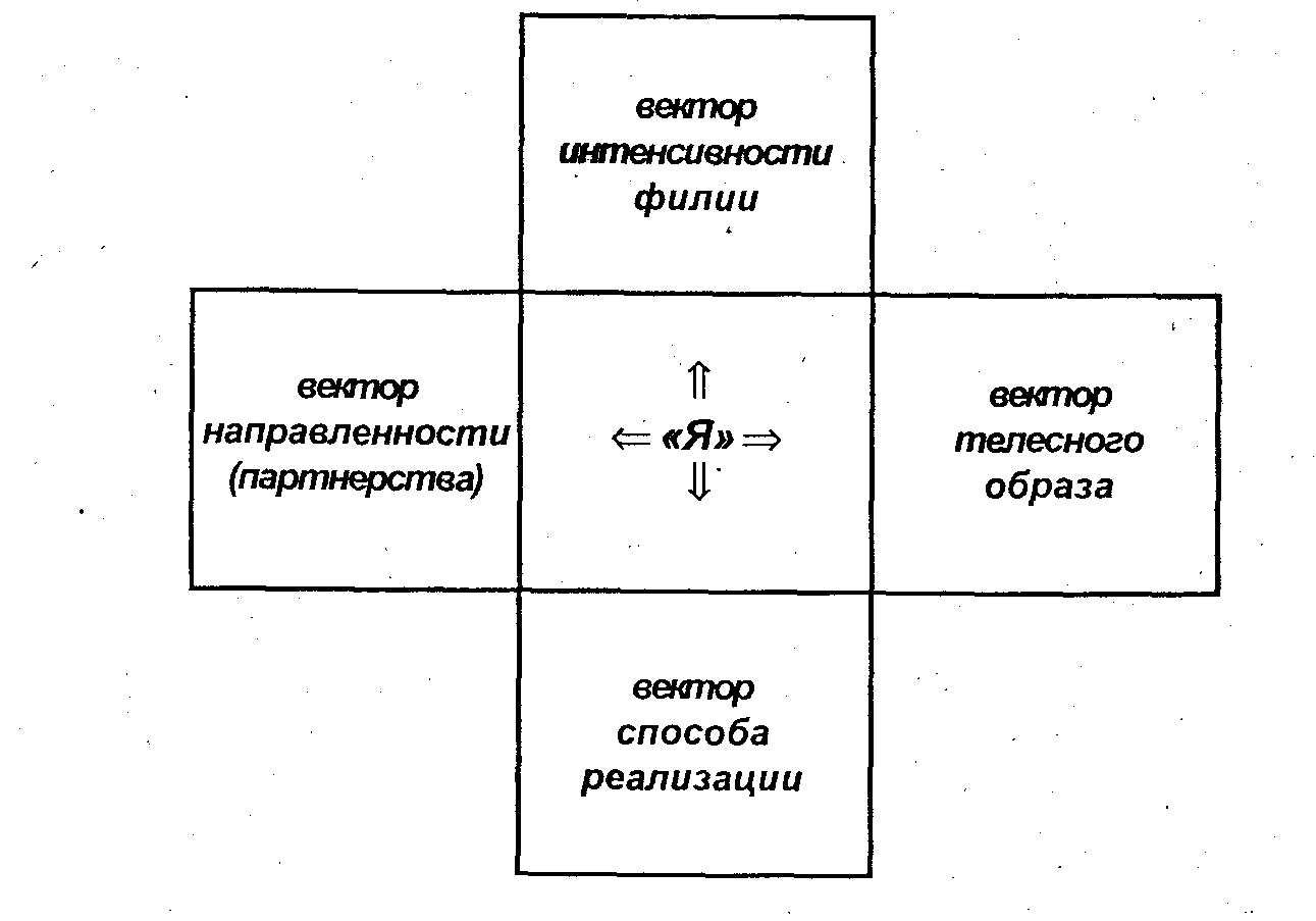 Сексуальное влечение. Вектор s.