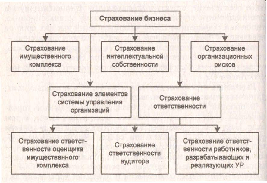 Страхование бизнеса. Виды страхования. Виды страхования бизнеса. Страховой вид бизнеса. Страховой бизнес примеры.