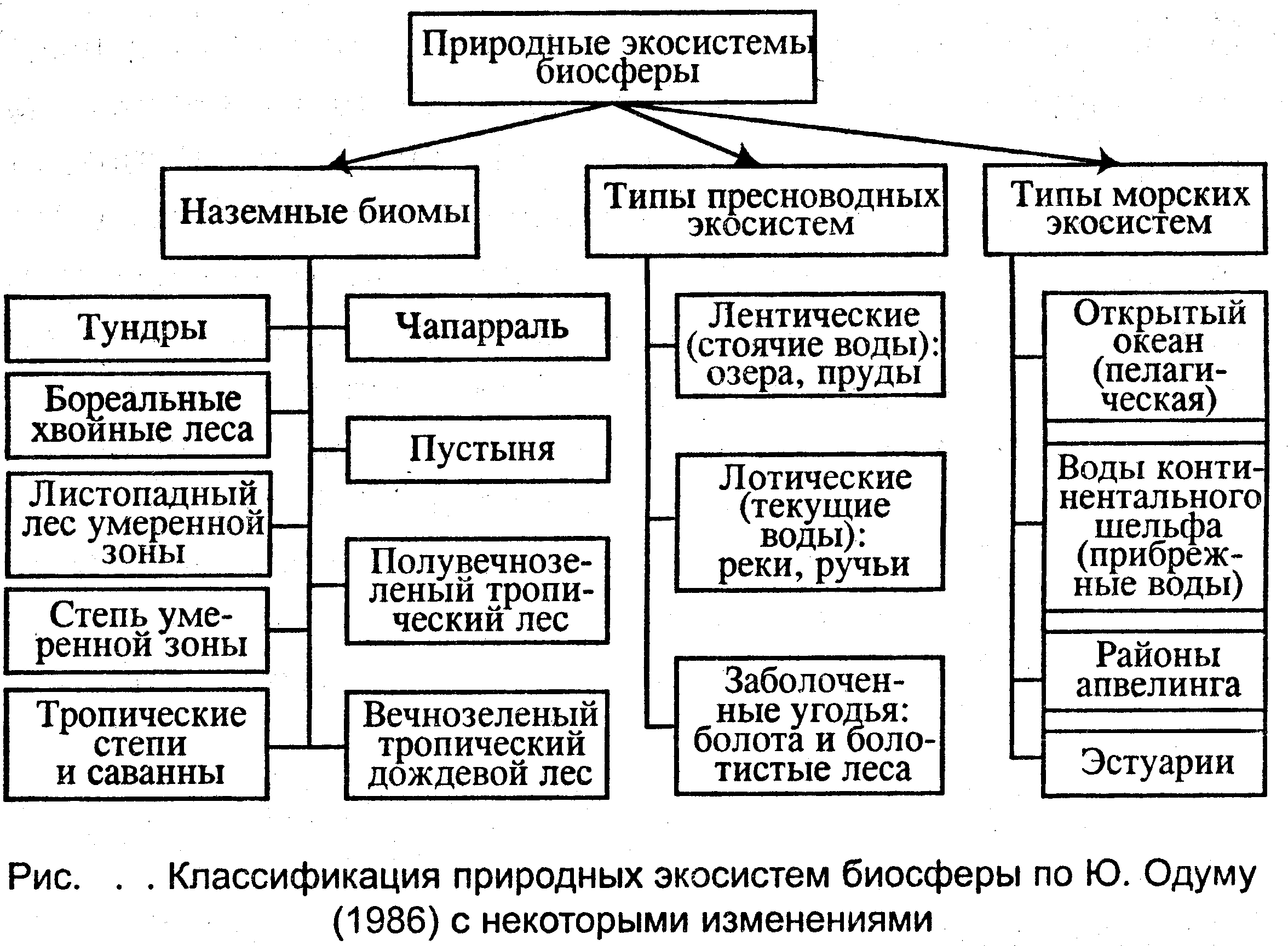 Характеристика природной системы