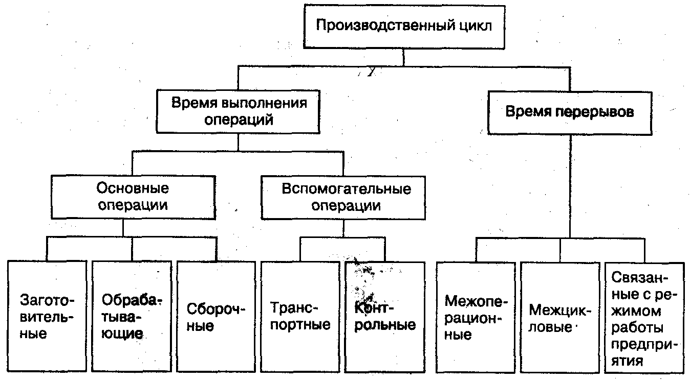 2.4 Структура производственного цикла